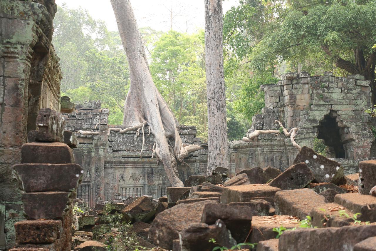Vilada Angkor Boutique Сием Реап Екстериор снимка